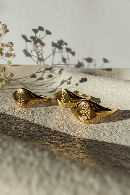 Wildflower Signet Ring - Gold