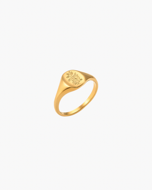 Tea Signet Ring - Gold