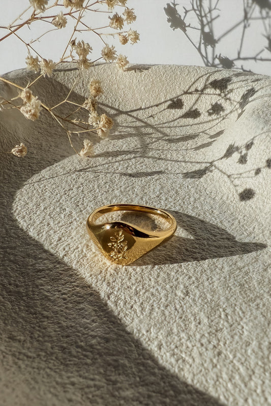 Tea Signet Ring - Gold