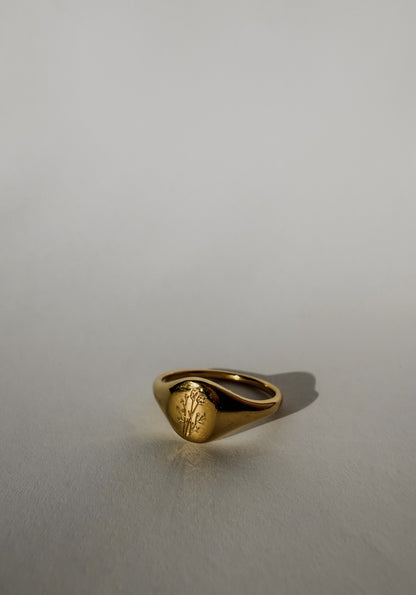 Wildflower Signet Ring - Gold